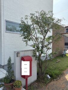 ポスト横の木の伐採施工後